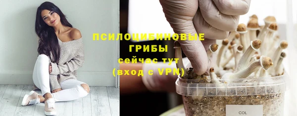 герыч Алексин