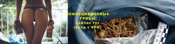 ГАЛЛЮЦИНОГЕННЫЕ ГРИБЫ Алексеевка