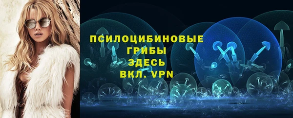ГАЛЛЮЦИНОГЕННЫЕ ГРИБЫ Алексеевка